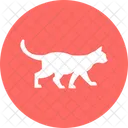 Cat Feline House Cat Icon