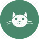 Cat Feline House Cat Icon