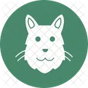 Cat Feline House Cat Icon