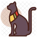 Cat  Icon