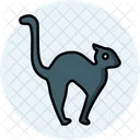 Cat  Icon