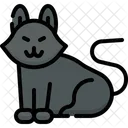 Cat  Icon