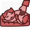 Cat  Icon