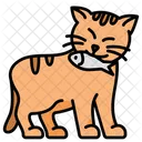Cat  Icon