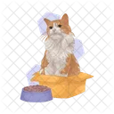 Cat Cat In Box Pet Icon