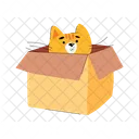 Cat In Box  Icon