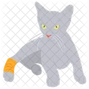 Cat leg surgery  Icon