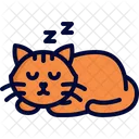 Cat napping  Icon