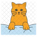 Cat On Pillow  Icon