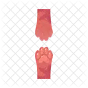 Cat paw  Icône