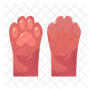 Cat paw  Icône