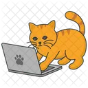 Cat Playing Laptop  Icon