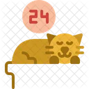 Cat Sleep All Day Icon