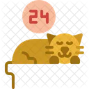Cat Sleep all day  Icon