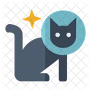 Cat Space  Icon