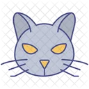Animal Cat Cat Face Icon