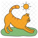 Cat Stretching  Icon