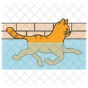 Cat Swimming Cat Swim Icon