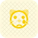 Cat Tear Icon