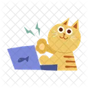 Cat typing computer cartoon clipart  Icon