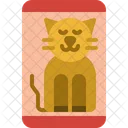 Cat Walpaper Icon