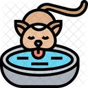 Cat Water Bowl  Icon