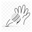 Catch Ball  Icon