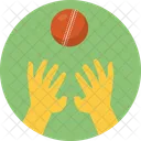 Player Cricket Training Icon