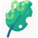 Caterpilar in leaf  Icon