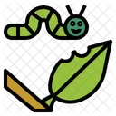 Caterpillar Worm Insect Icon