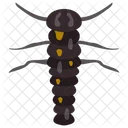 애벌레 곤충 동물 아이콘