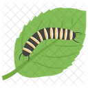 Plant Caterpillar Caterpillar Insect Icon