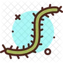 Caterpillar Insect Fly Icon