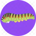 Insects And Bugs Caterpillar Bug Icon