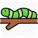 Caterpillar Animal Worm Icon