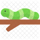 Caterpillar Animal Worm Icon