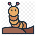 Caterpillar Pest Insect Icon