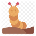 Caterpillar Pest Insect Icon