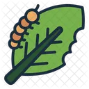 Caterpillar Pest Leaf Icon