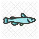 Orfe Fish Roach Fish Sander Lucioperca Icon