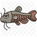 메기 해양문화 물고기 아이콘