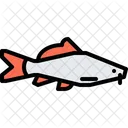 Catfish Icon