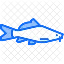 Catfish Orfe Fish Roach Fish Icon