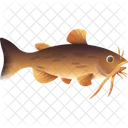 Catfish Orfe Fish Farm Fish Icon