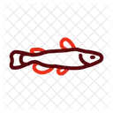 Catfish Orfe Fish Farm Fish Icon