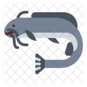 Catfish  Icon