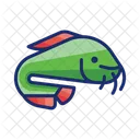Catfish  Icon