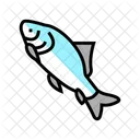 Catla-Fisch  Symbol