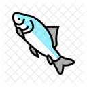 Catla Fish  Icon