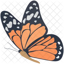 Catonephele Butterfly  Icon